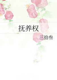抚养权