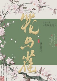 穿越成一个陪嫁丫鬟