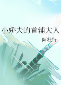 小娇夫的首辅大人