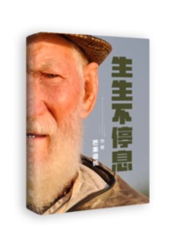 生生不停息