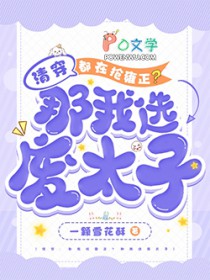 清穿：都在抢雍正？那我选废太子