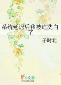系统延迟后我被迫洗白