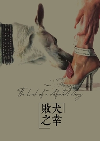 败犬之幸