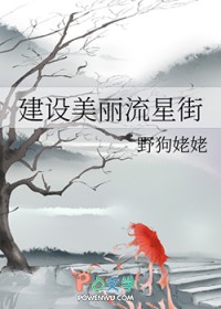[猎人同人] 建设美丽流星街