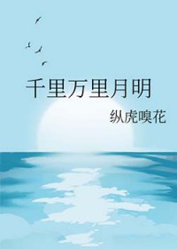 千里万里月明